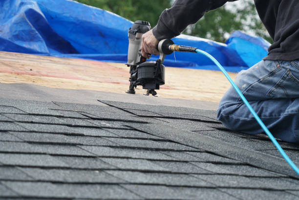Best Metal Roofing Installation  in Fussels Corner, FL